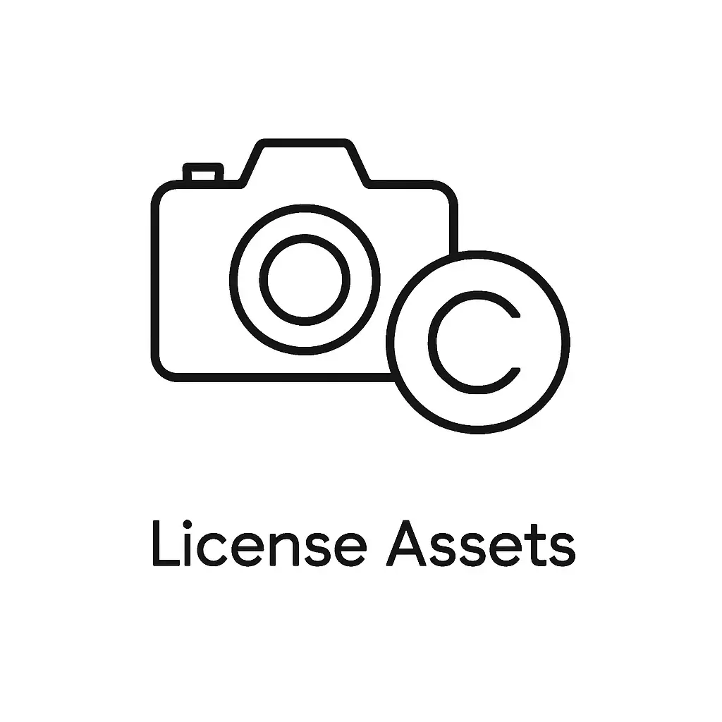License Your Creative Assets